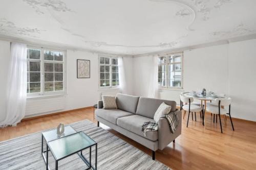 Andelfingen District Appartement | The R Apartment Hemmental