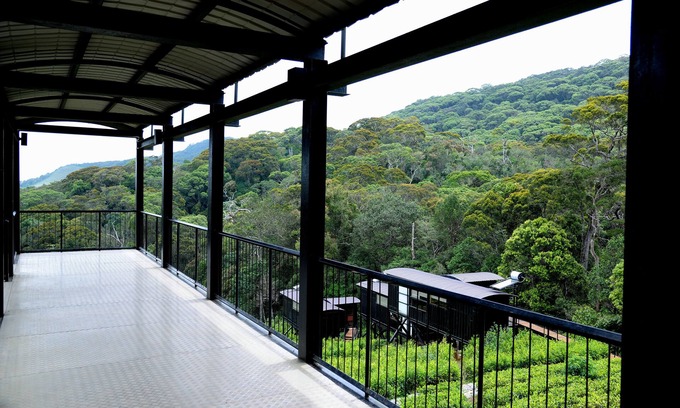 Kotapola Cabine | The Rainforest Ecolodge