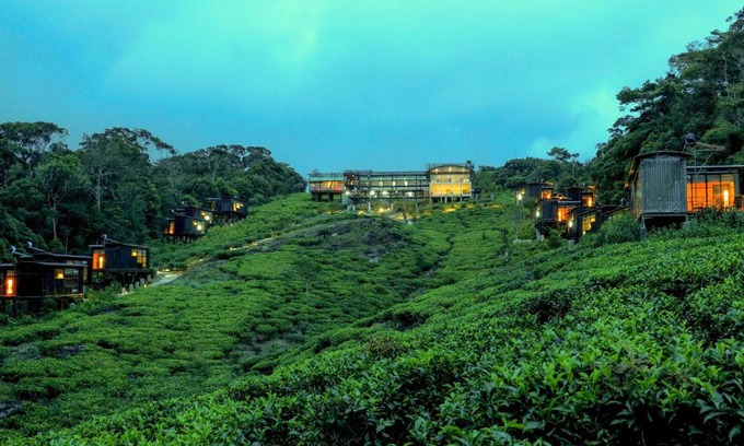 Kotapola Cabine | The Rainforest Ecolodge - Sinharaja with Shuttle Service from Car Park