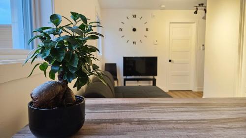 Rawdon Appartement | The Rawdon Queen