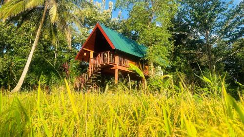 Sigiriya Lit Et Petit-Déjeuner | The Rock & Paddy Resort