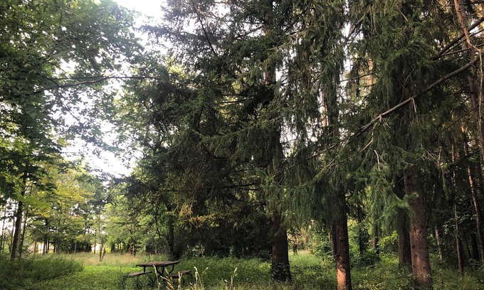 Delaware Cabine | The Rustic Side