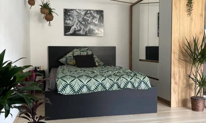 Nauwieser Viertel Appartement | The Saar Jungle Design Apartment im Herzen von Saarbrücken