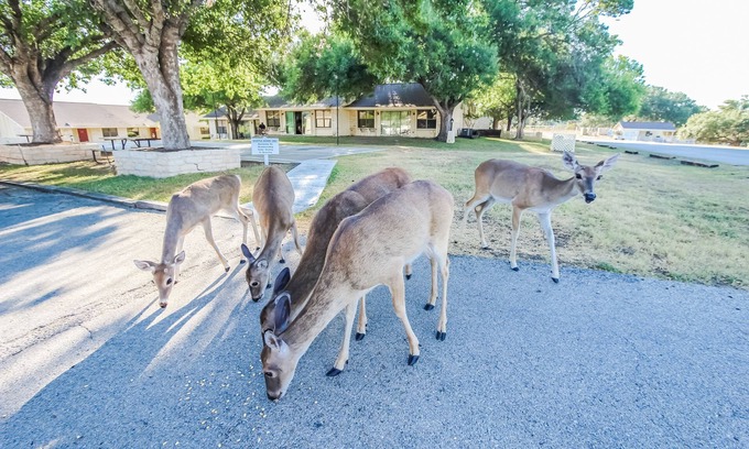 Highland Lake Estates Appartement | The Shores at Lake Travis