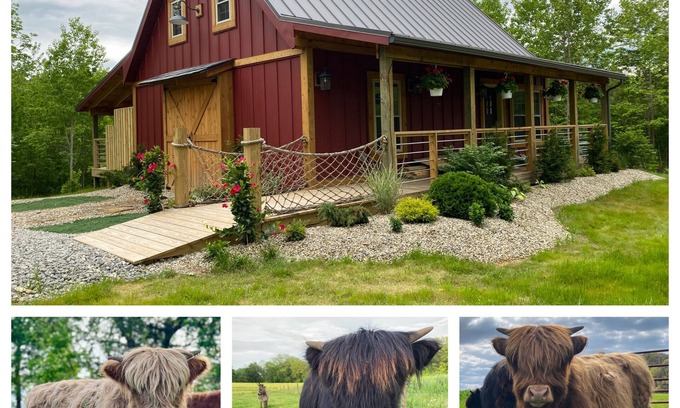 McArthur Cabine | The Stable at Dogwood Ridge Farms: Highland Cow and Mini Donkey Farm