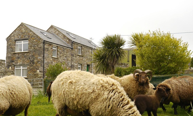 Cregneish Appartement | The Stable is a recently converted barn on a family run dairy and sheep farm situated near Port Erin