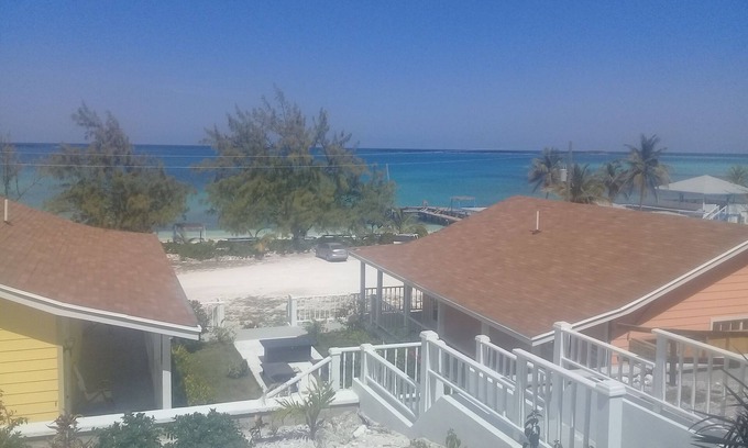 Rolleville Villa | Le centre de natation de cochons