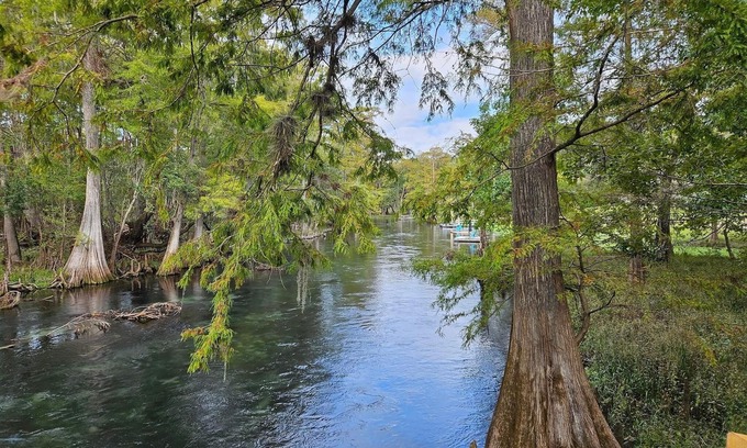 Fort White Cabine | The Tipsy Turtle located on Ichetucknee River!