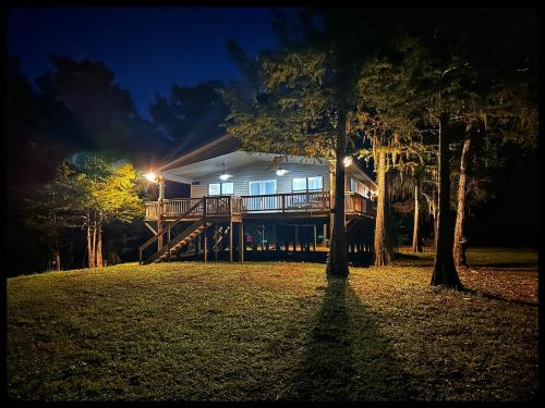 Doyline Maison | The treehouse