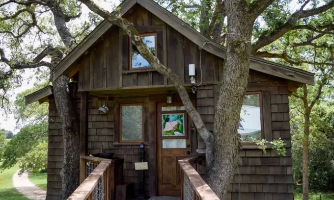 Jeddo Cabine | The Treehouse