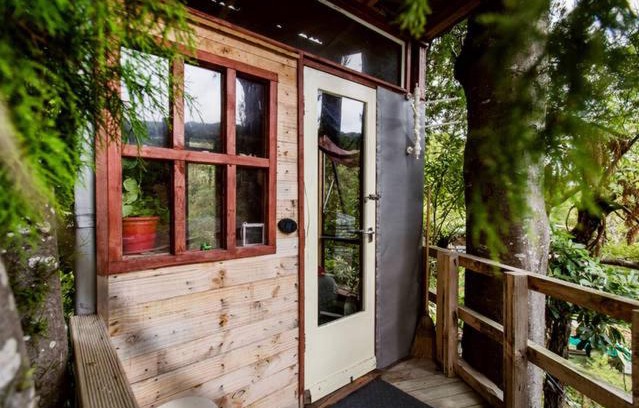 Upper Hutt Autre | The Treehut at the Rabbithole, Upper Hutt