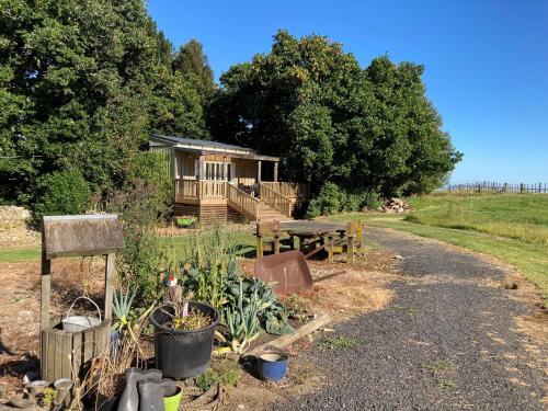 Ohauiti Maison | The Treehut