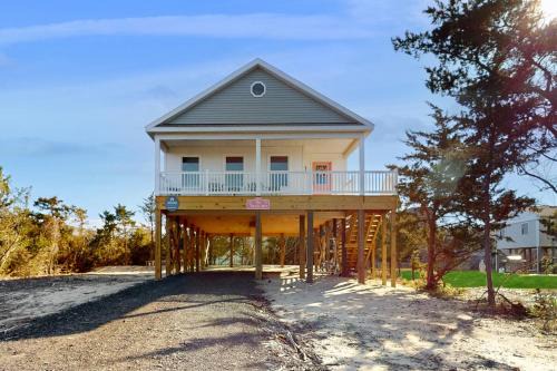 Salvo Maison | The Turtle's Nest
