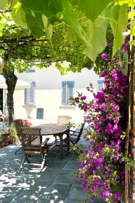 Pistoia Maison | The Tuscany Rose