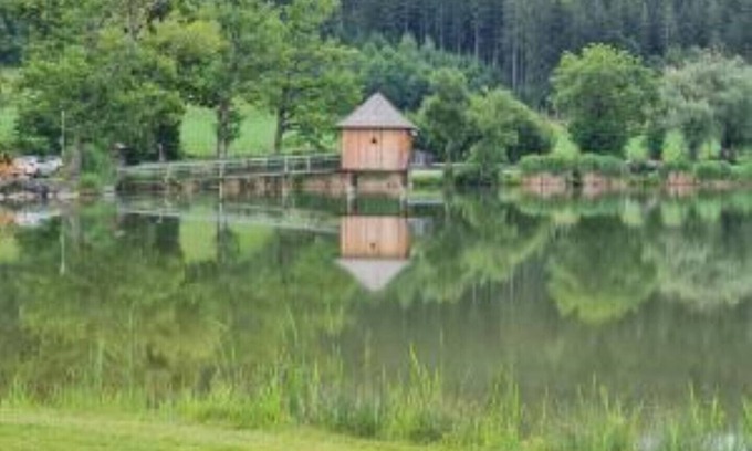 Sankt Veit an der Glan Appartement | The1st Guesthouse "Apartment Maultasch Style" with terrace and lake view