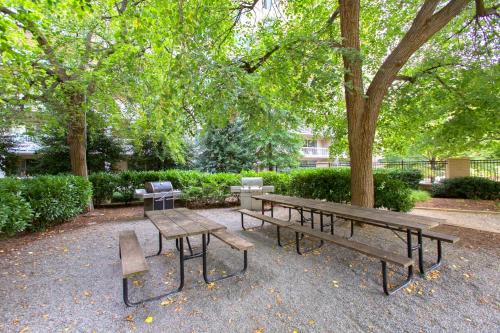 Aurora Highlands Appartement | This Apt is Perfect For Business Trips or a Relaxing Vacation