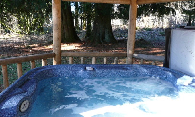 Ashford Cabine | This historic cabin is just a few miles from Mt Rainier National Park. Pet friendly. Fish pond, pastures, old cedars, 11-acres. Private hot tub surrounded by grove of old cedars.