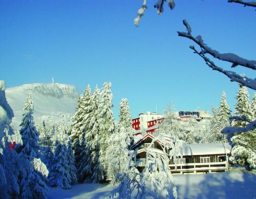 Svingvoll Hôtel | Thon Hotel Skeikampen