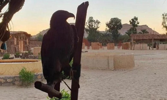 Siwa Hôtel | Tijan Siwa