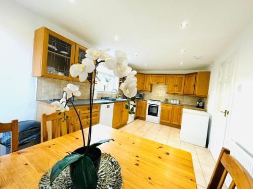Tillicoultry Appartement | Tillicoultry Jupiter Apartment - Scotland Holiday Let