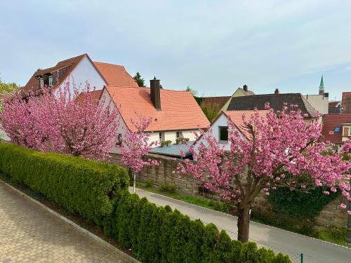 Herzogenaurach Appartement | Time Out Apartments