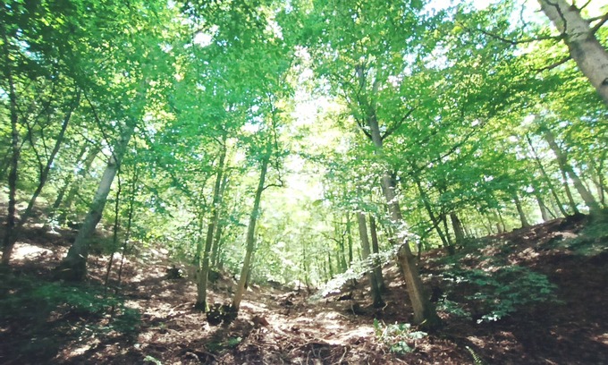 Hasenfeld Appartement | Tiny apartment in a quiet location near the North Eifel National Park