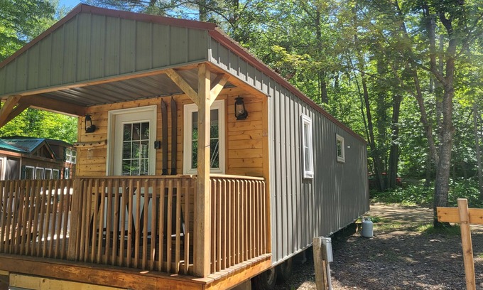 Nevis Cabine | Tiny cabin in towering pines, with lake view. Pets accepted!