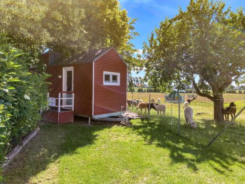 Rubkow Maison | Tiny House auf der Alpaka Farm