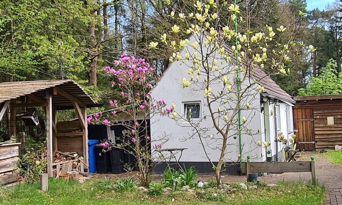 Am Dobrock Maison | Tiny house in the Wingster Forest, near Nordesse, peace & relaxation in nature