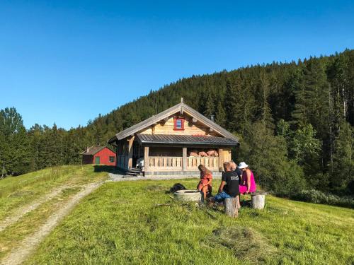 Hjartdal Municipality Maison | Tjonnas Farm Stay