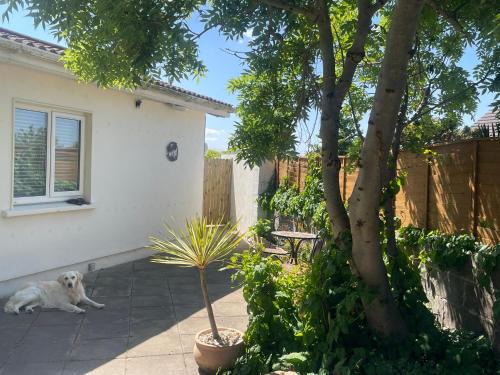 Skerries Maison | To The Beach!