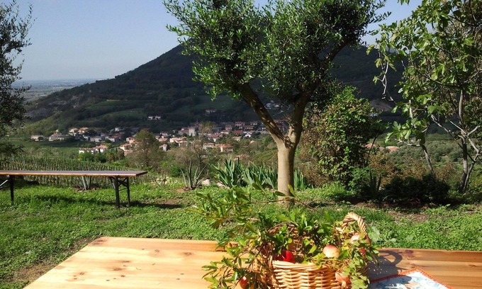 Cornoleda Appartement | A VENICE 1 h by train with the autumn colors of the Euganean Hills