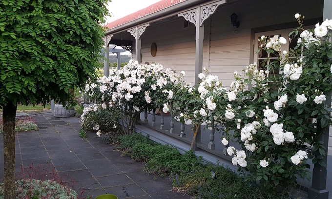 Martinborough Maison | Todd's Cottage and Vineyard in the "fun part" of town.