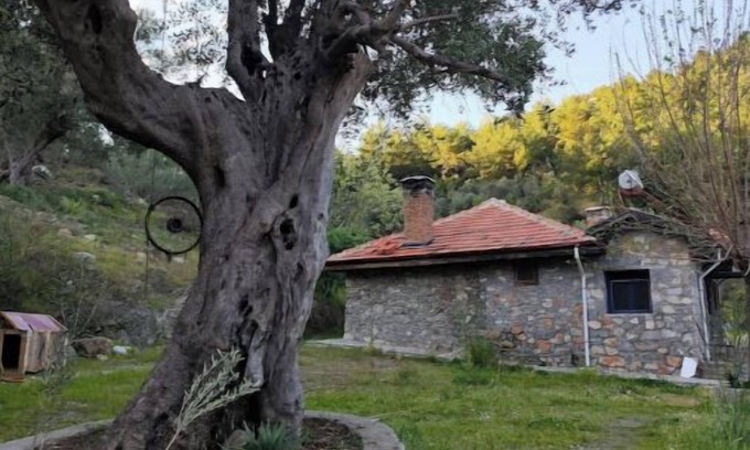 Ortaca Maison | Togo iztuzu Stonehouse-3
