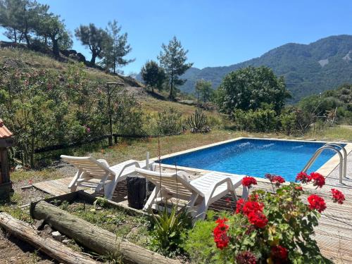 Ortaca Chalet De Ski | Togo iztuzu Stonehouse-3
