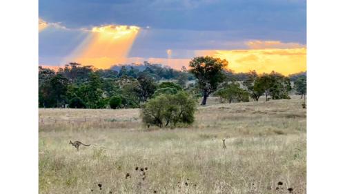Goombungee Maison | Toowoomba Valley Views by Tiny Away
