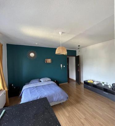 Sarrebourg Appartement | Torino - 2P - Appartement raffiné