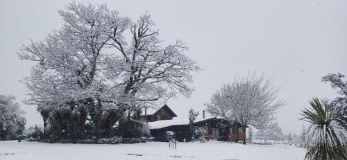 Springfield Chalet De Ski | Torokiki bach
