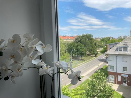 Hodmezovasarhely Appartement | Torony Apartman Hódmezővásárhely