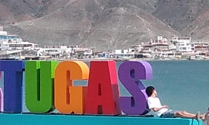 Tortuga Maison | TORTUGAS LA CASA DE JOAQUIN