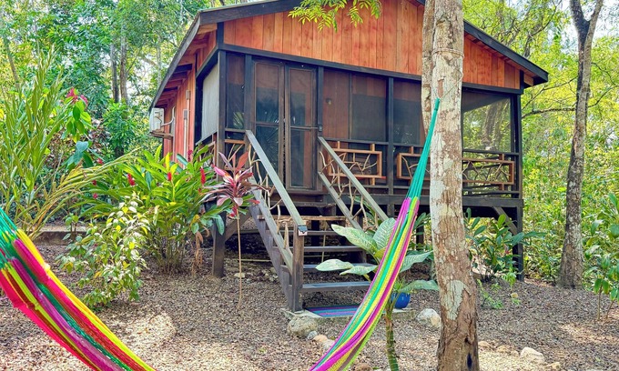 San Ignacio Maison | Toucan at Lost Compass Cabanas