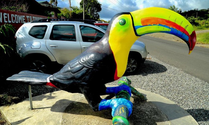 Arenal Hôtel | Toucan Lane