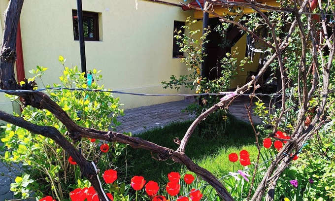 Cisnadie Maison | Tranquil building with WiF and parking, in Cisnădie, near Dracula's Castle.