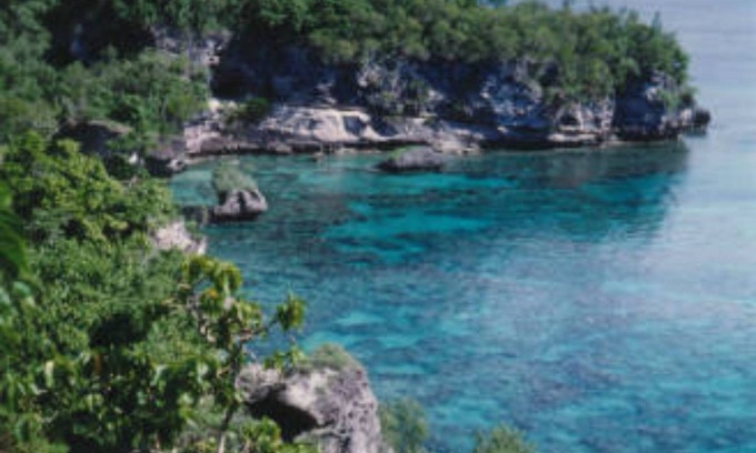 Moso Island Hôtel | Tranquility Island Resort