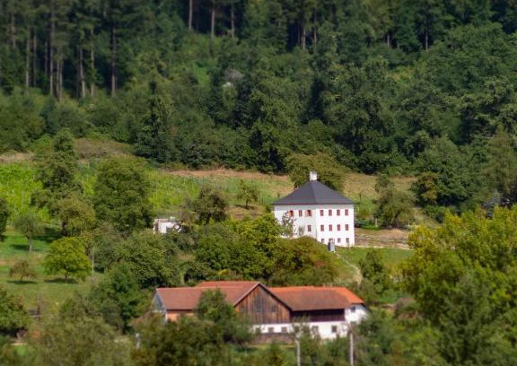 Schlußlberg Maison | Trattnachtaler Weinhaus