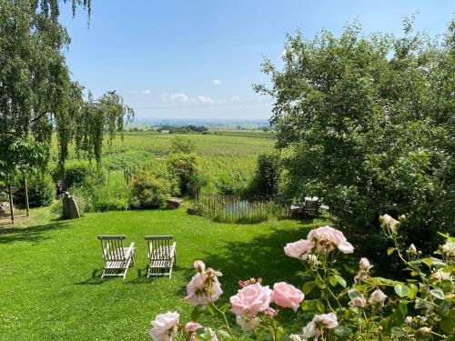 Gleisweiler Appartement | Traumblick Rebenmeer