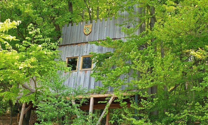 Solling Appartement | Tree house castle, living/bedroom - Baumhaushotel Solling