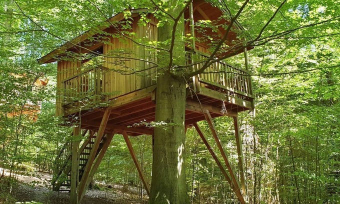 Solling Appartement | Tree house refuge, living/sleeping room - Baumhaushotel Solling