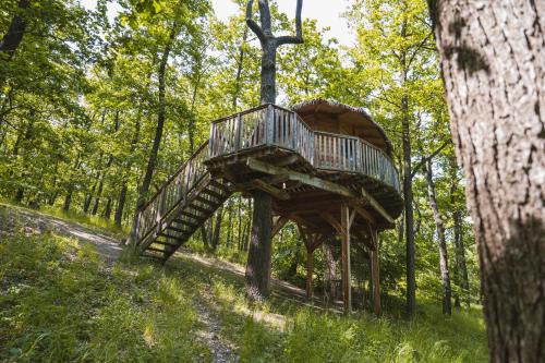 Jinacovice Autre | TREE HOUSE U Mravence