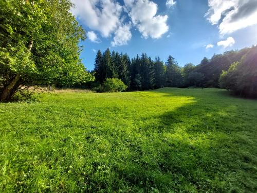 Kolarovice Autre | Tree house with private meadow in the middle of the forest